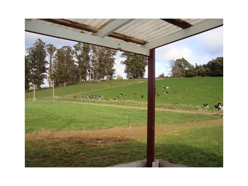 49 Coffey Road, Ringarooma TAS 7263