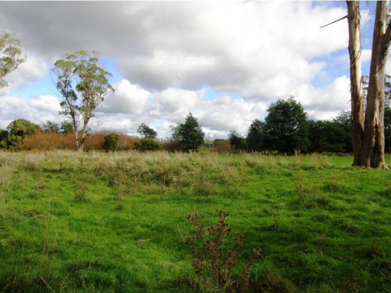 . Forester Road, Scottsdale TAS 7260