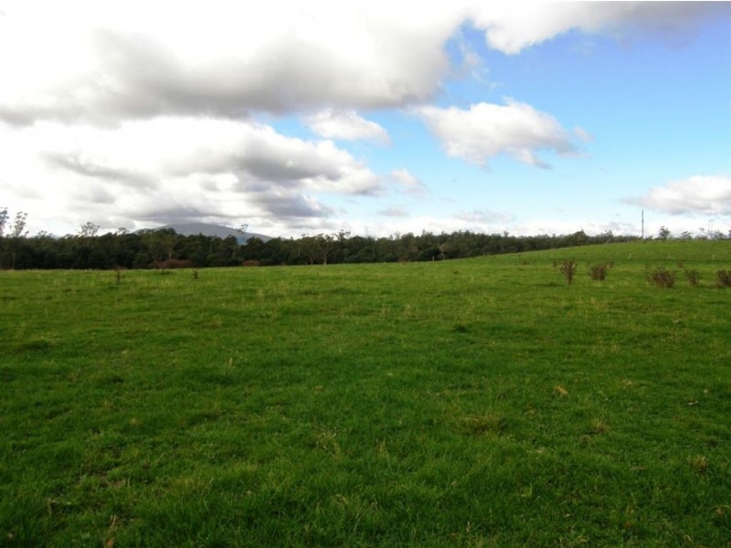 . Forester Road, Scottsdale TAS 7260