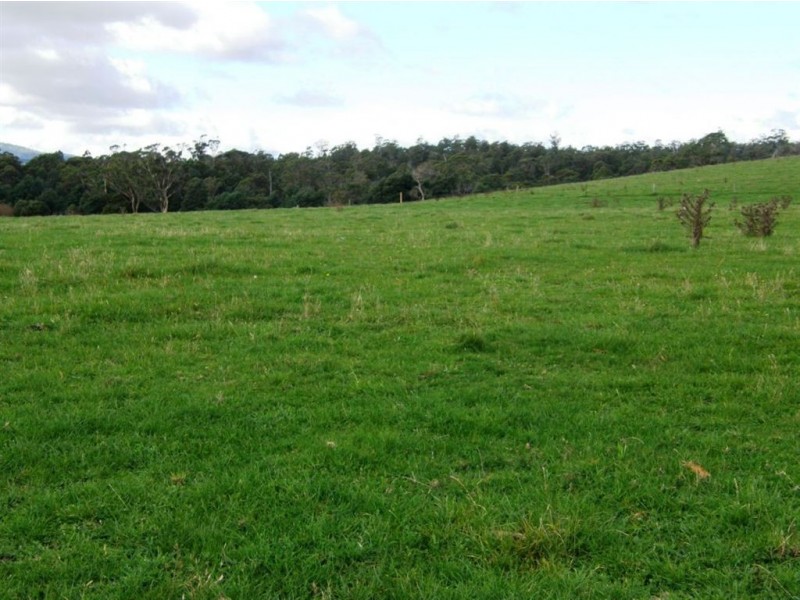 . Forester Road, Scottsdale TAS 7260