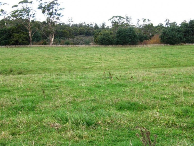 . Forester Road, Scottsdale TAS 7260