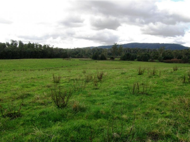 . Forester Road, Scottsdale TAS 7260