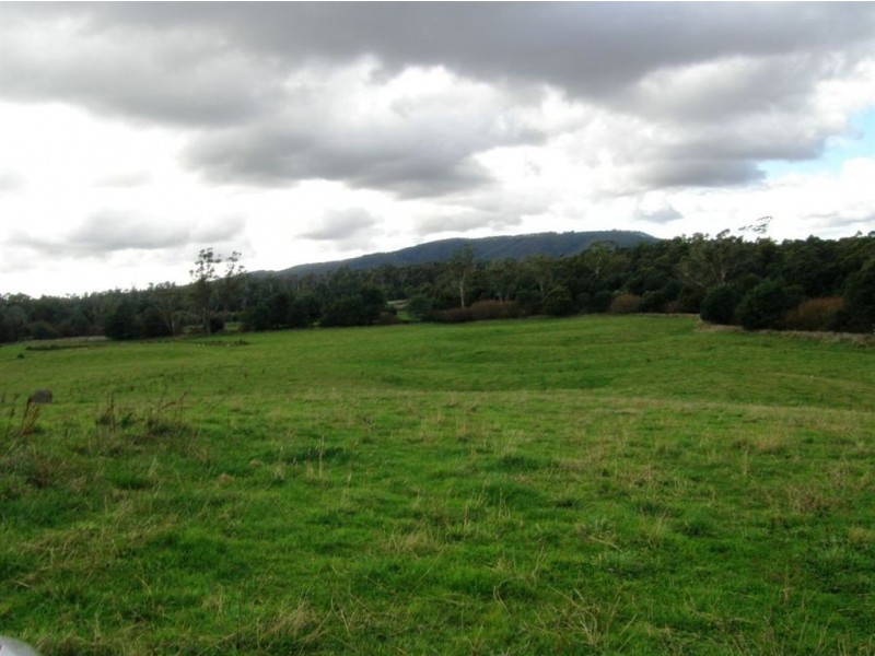 . Forester Road, Scottsdale TAS 7260