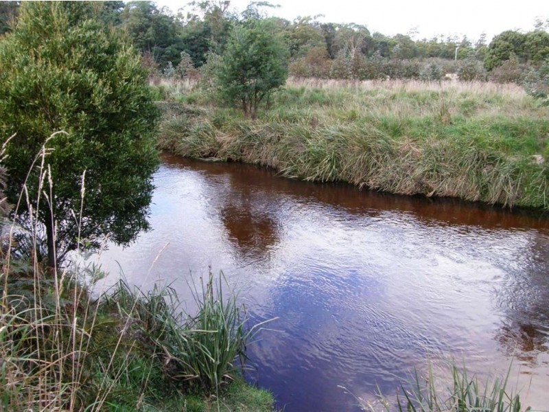 . Forester Road, Scottsdale TAS 7260