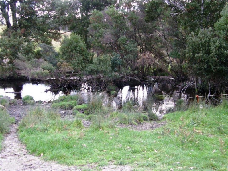 . Forester Road, Scottsdale TAS 7260