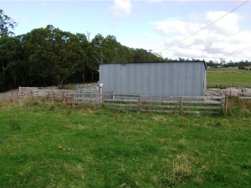 . Forester Road, Scottsdale TAS 7260