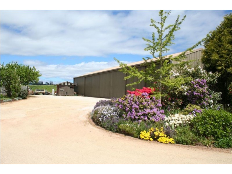 36 Ringarooma Road, Scottsdale TAS 7260