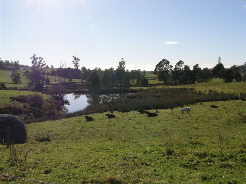 2799 Golconda Road, Scottsdale TAS 7260