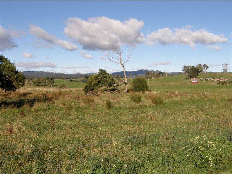 13 Winnaleah Road, Winnaleah TAS 7265