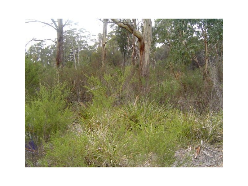 Lot 31 Main Road, Pioneer TAS 7264