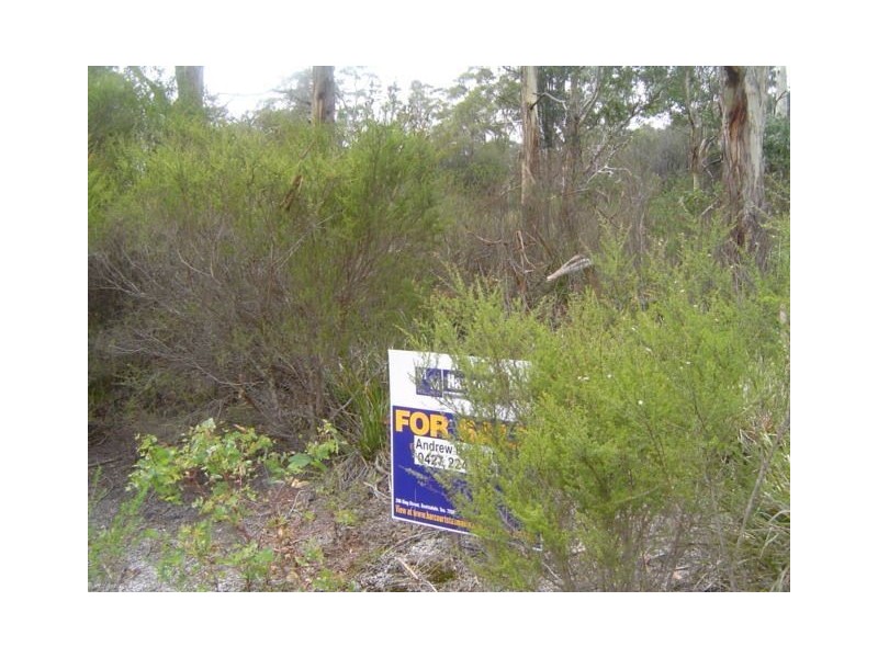 Lot 31 Main Road, Pioneer TAS 7264