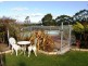 13 Duncraggen Road, Scottsdale TAS 7260