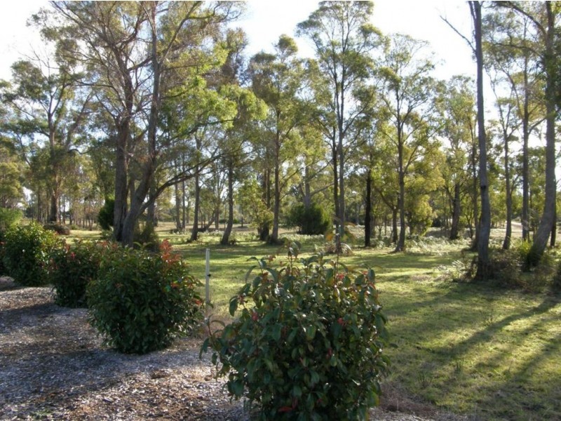 13 Duncraggen Road, Scottsdale TAS 7260