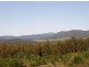 - Richs Road, Scottsdale TAS 7260