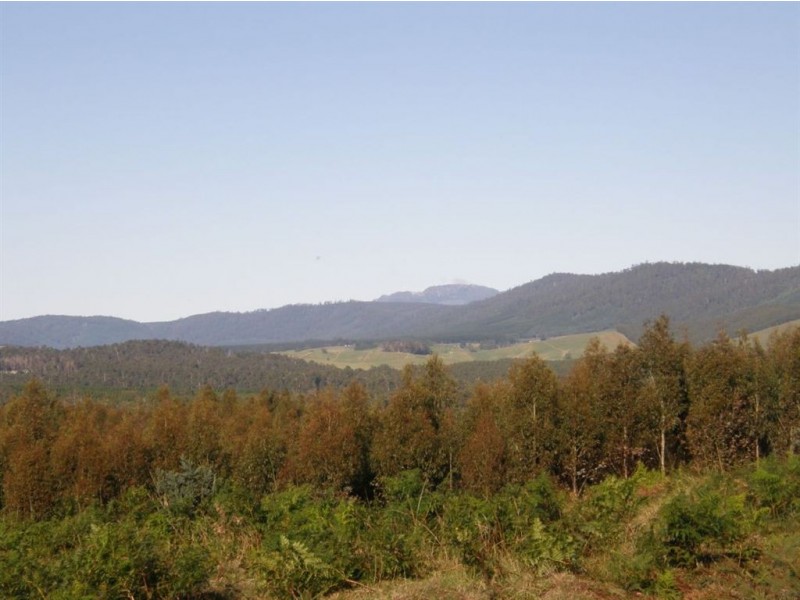 - Richs Road, Scottsdale TAS 7260
