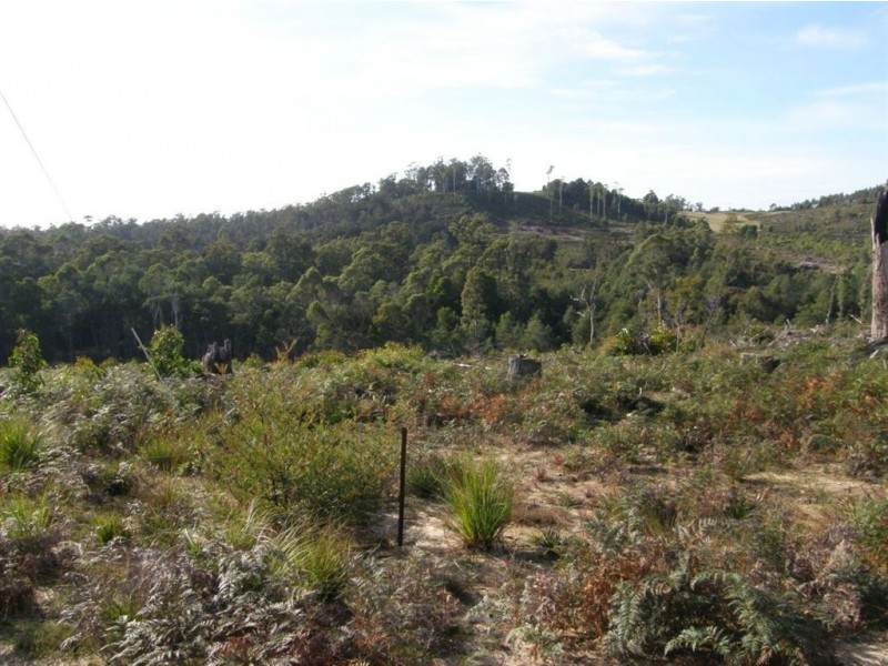 . Richs Road, Scottsdale TAS 7260