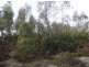 . Richs Road, Scottsdale TAS 7260