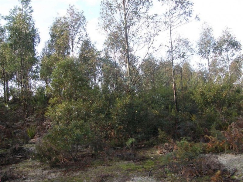 . Richs Road, Scottsdale TAS 7260