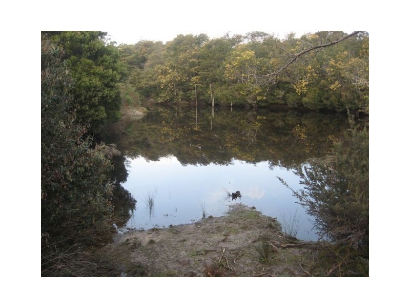 - Lanka Road, Pioneer TAS 7264