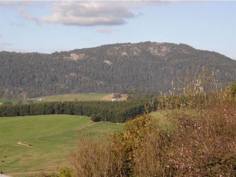 14 George Street, Scottsdale TAS 7260