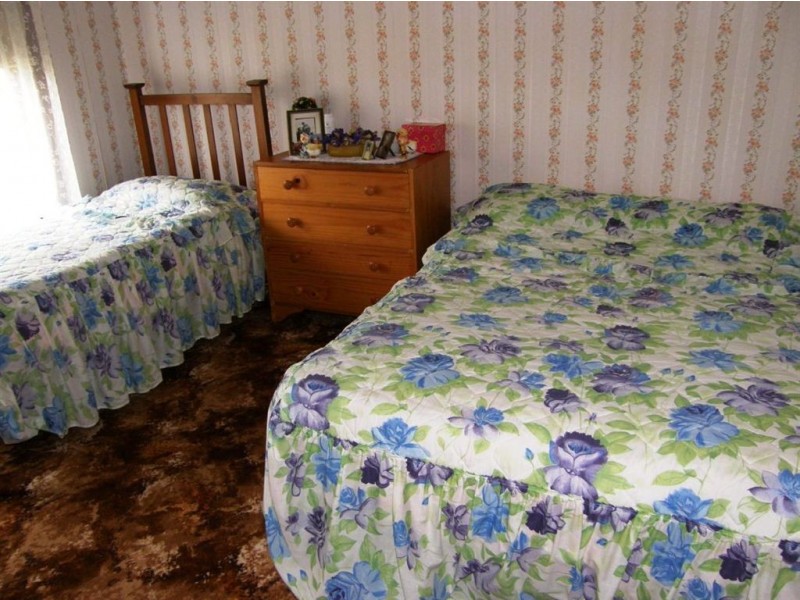 50 Ellenor Street, Scottsdale TAS 7260