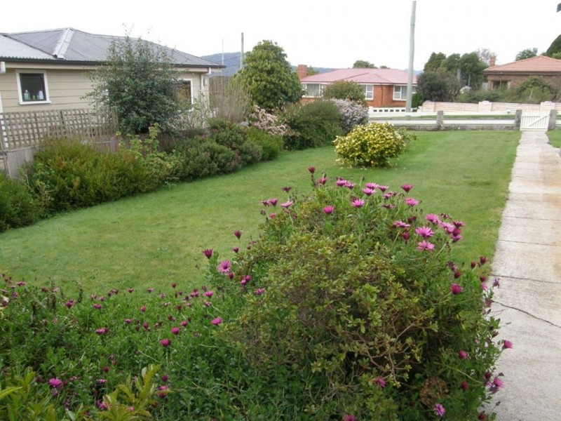 50 Ellenor Street, Scottsdale TAS 7260