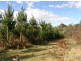. West Maurice Road, Ringarooma TAS 7263