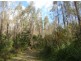 . West Maurice Road, Ringarooma TAS 7263