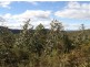. West Maurice Road, Ringarooma TAS 7263