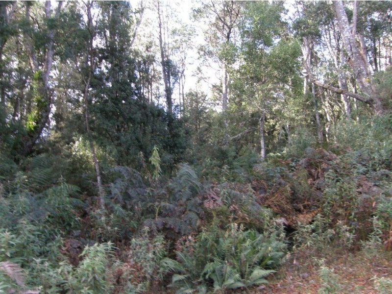 . West Maurice Road, Ringarooma TAS 7263