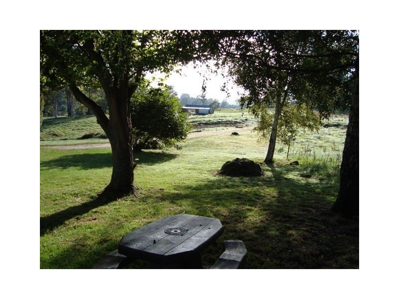820 West Maurice Road, Ringarooma TAS 7263