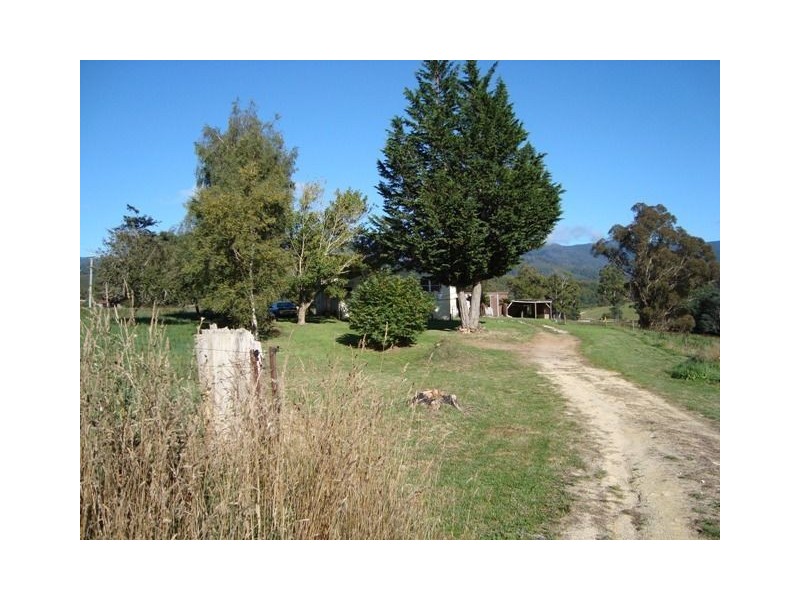 820 West Maurice Road, Ringarooma TAS 7263