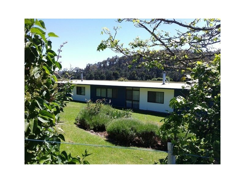 428 Jensens Rd, Scottsdale TAS 7260