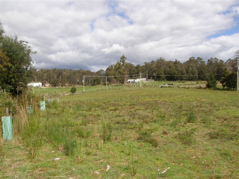 3491 Golconda Road, Scottsdale TAS 7260