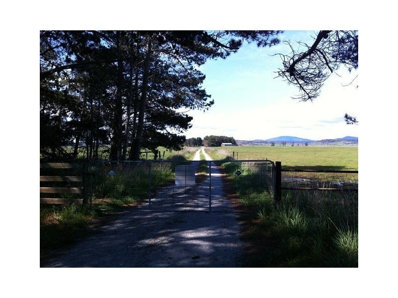 1570 Waterhouse Rd, Bridport TAS 7262