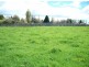 18 Main Street, Winnaleah TAS 7265