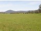 33152 Tasman Highway, Legerwood TAS 7263