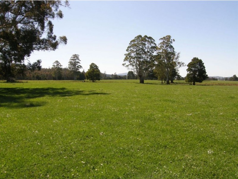 33152 Tasman Highway, Legerwood TAS 7263