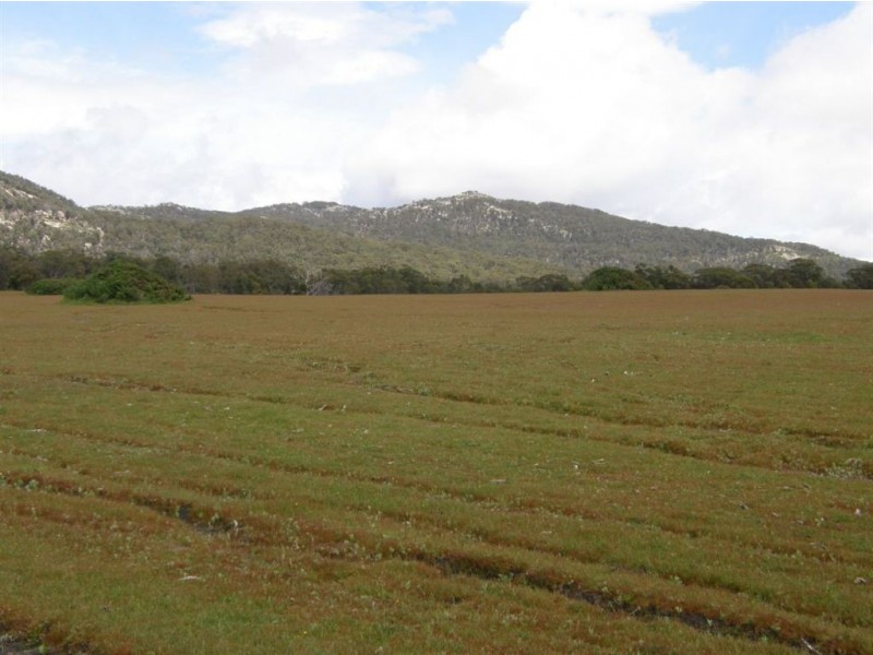 5824 Waterhouse Road, Gladstone TAS 7264