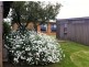 93 Careys Rd, Scottsdale TAS 7260