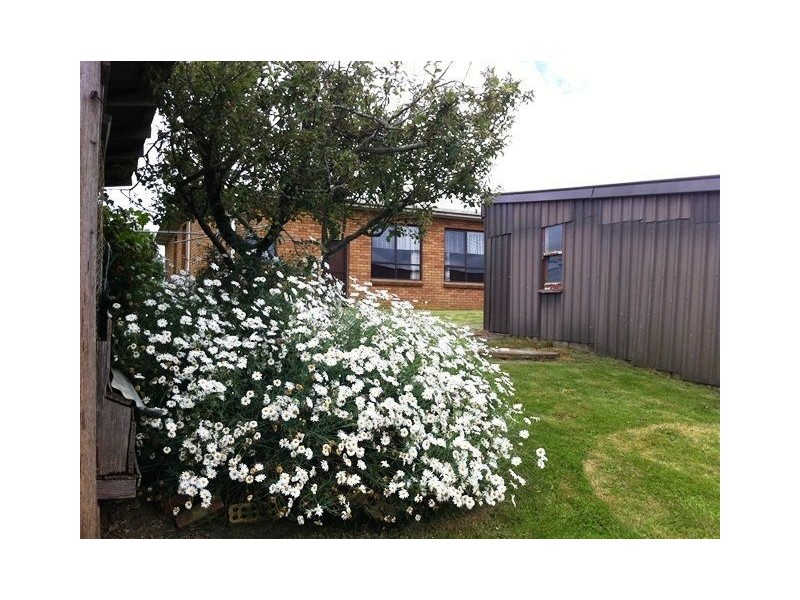 93 Careys Rd, Scottsdale TAS 7260