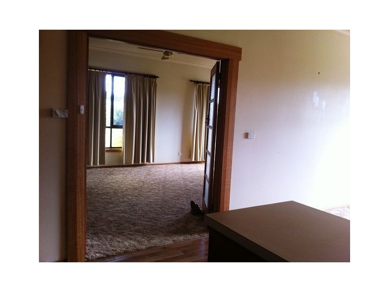 93 Careys Rd, Scottsdale TAS 7260