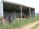 528 Ten Mile Track, Scottsdale TAS 7260