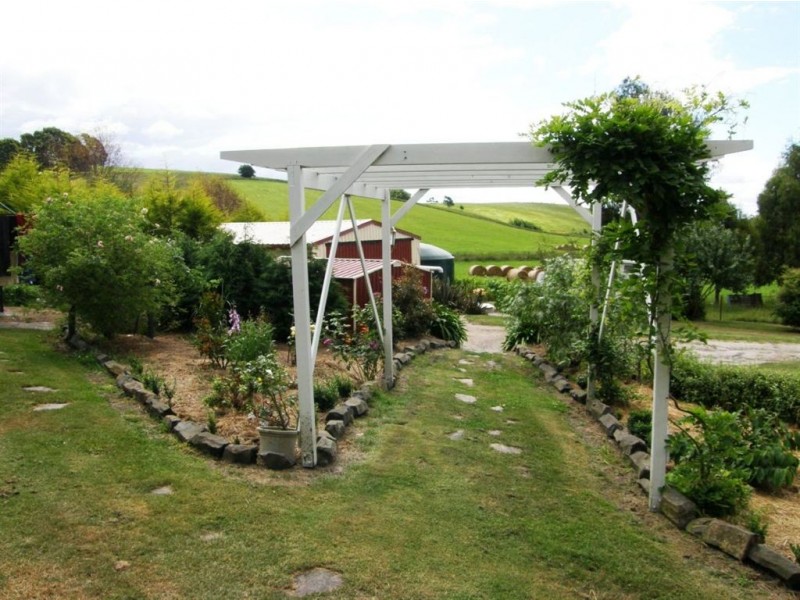 356 Briggs Road, Scottsdale TAS 7260