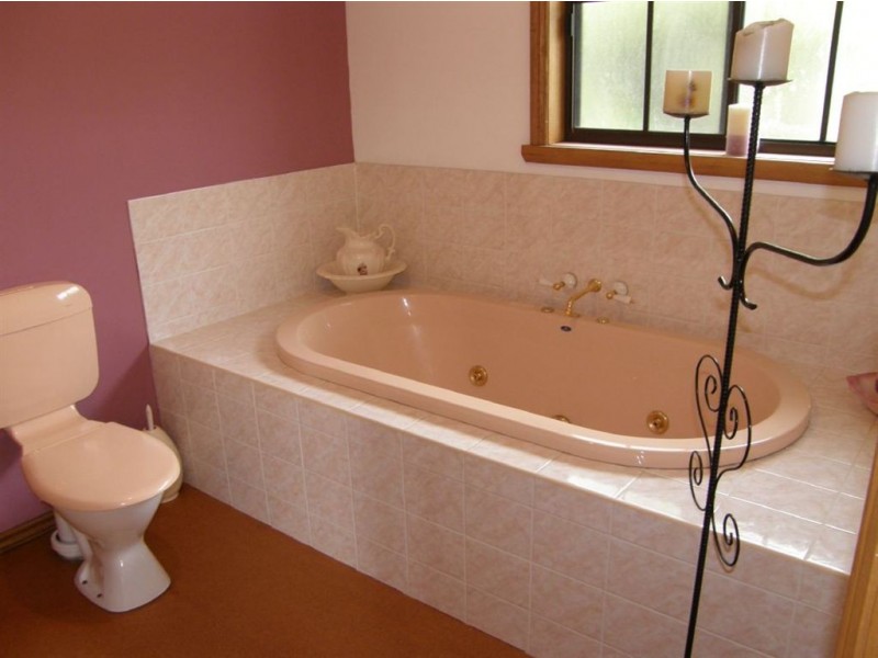 356 Briggs Road, Scottsdale TAS 7260