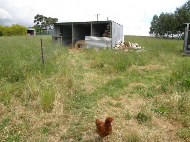 356 Briggs Road, Scottsdale TAS 7260