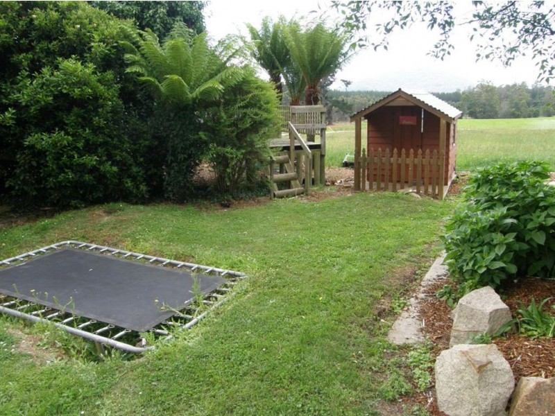 209 Mackenzie Valley Road, Scottsdale TAS 7260