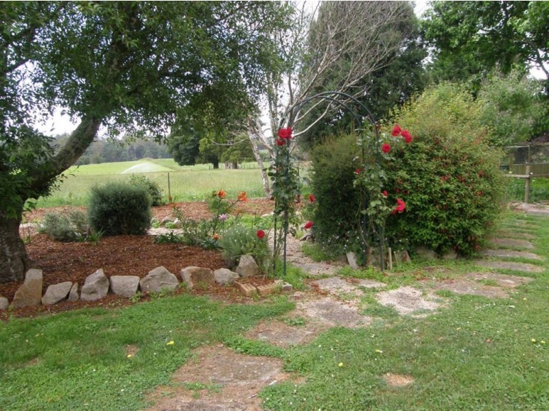 209 Mackenzie Valley Road, Scottsdale TAS 7260