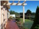 673 Legerwood Lane, Legerwood TAS 7263