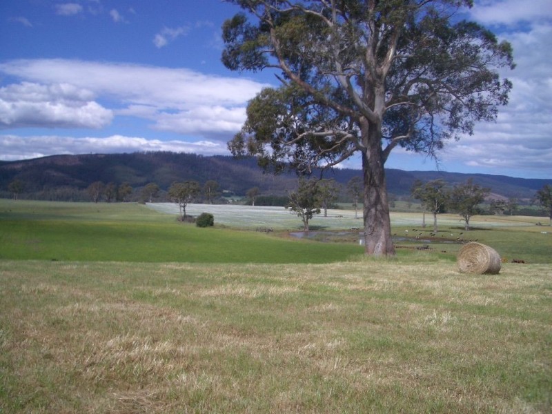 673 Legerwood Lane, Legerwood TAS 7263
